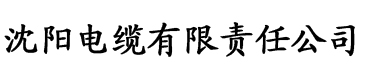 秋霞电影天堂伦理电缆厂logo